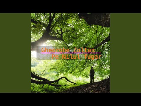 download lagu mp3 mp4 Gheorghe Zoltan Vol 3 Pe Nilul Fugar, download mp3 Gheorghe Zoltan Vol 3 Pe Nilul Fugar free download mp3, download mp3 Gheorghe Zoltan Vol 3 Pe Nilul Fugar