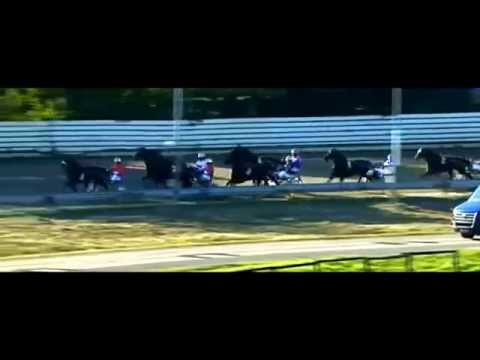 Deutsches Traber St.Leger 2014_Stutenlauf Pocahontas Diamant_Rob de Vlieger