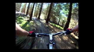 preview picture of video 'Marin Trail Mountain Biking filmed with homemade GoBra'
