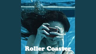 Cover art for Roller coaster