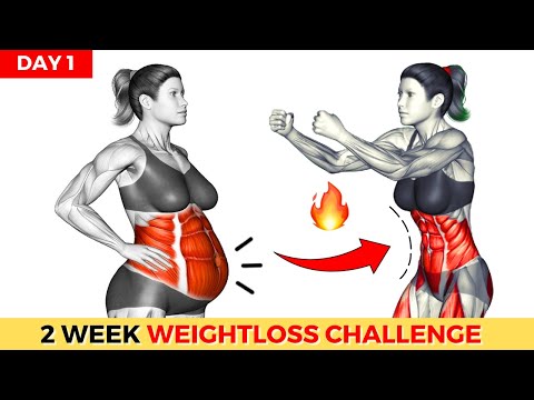 Do This 30 Min Everyday To Lose Weight Belly Fat 2 Weeks Shred Challenge DAY 1