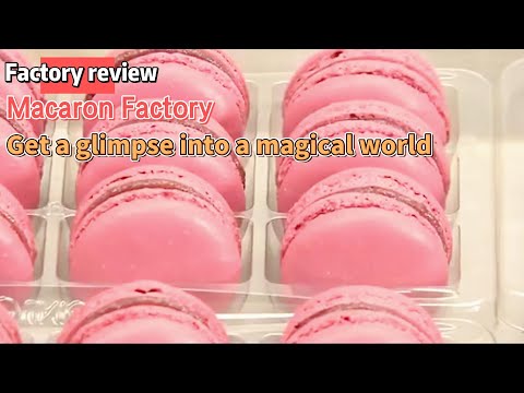 Behind the Scenes at the Macaron Factory! 🌈🍬
