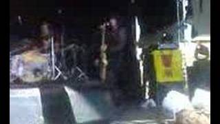 little birdy come on come on