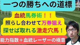 [競馬/能力指数 ]血統遊びで馬券を獲る 勝ち方への一つの道を紹介出来ればなと ムダに気合入れて長時間動画にごめんなさい