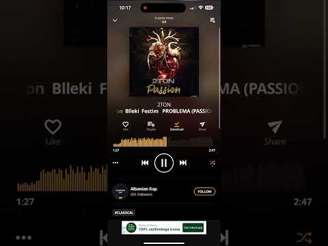 2Ton Ft Blleki & Festim - Problema