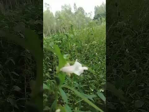 জীবনের গল্প #motivation #aakhirkyutootichhorebarghatiteam #funny