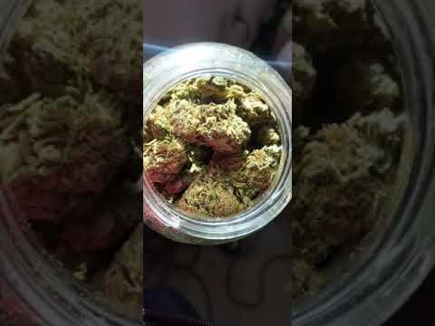 12 Monkeys - Eskimo vs Cycle Sphere (Original Mix)