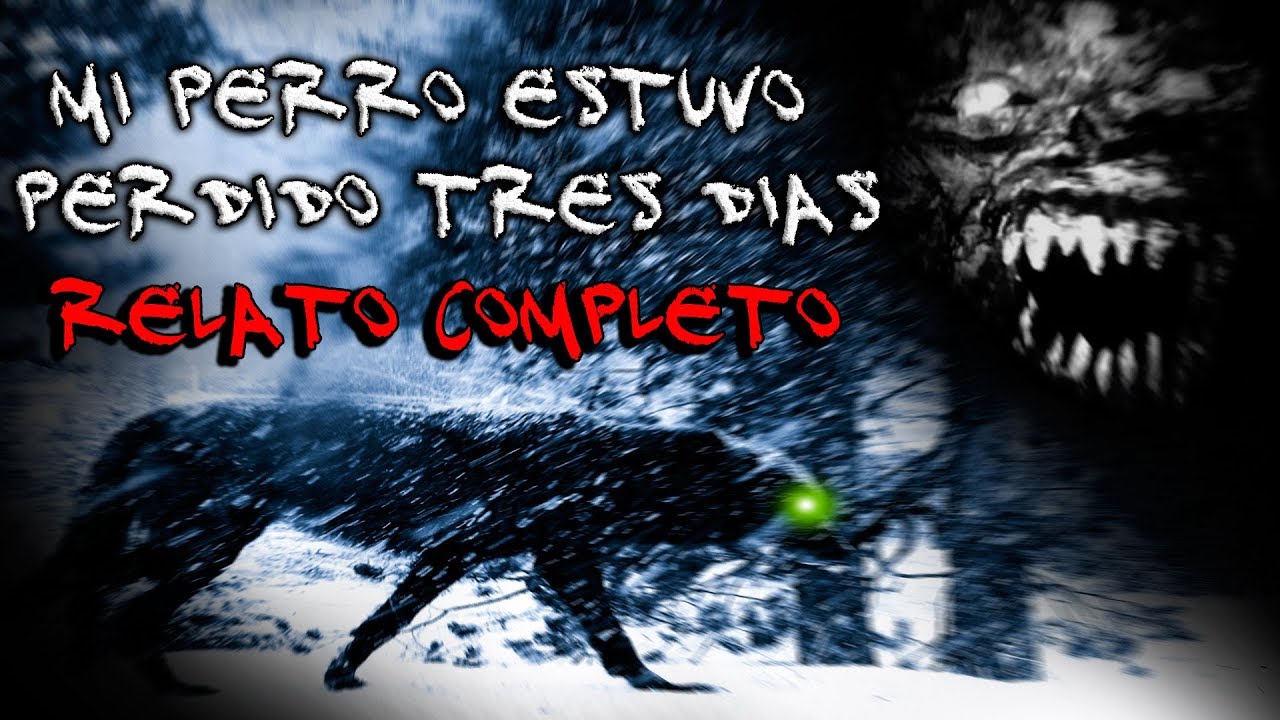 [RELATO COMPLETO] Mi perro estuvo perdido tres días  | Frecuencia Paranormal (FP)