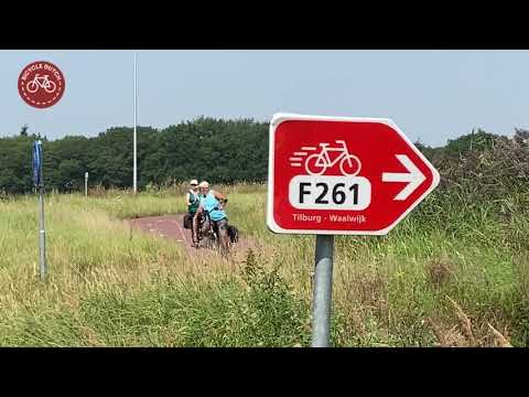 Experimental signs on the F261