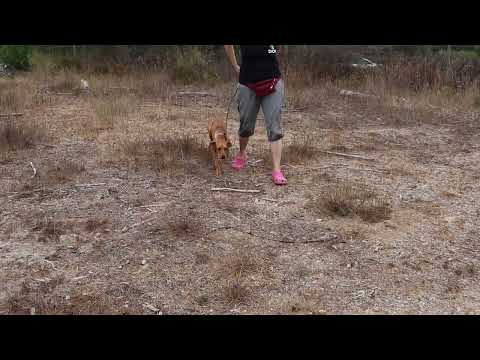 Vídeo de NERI 