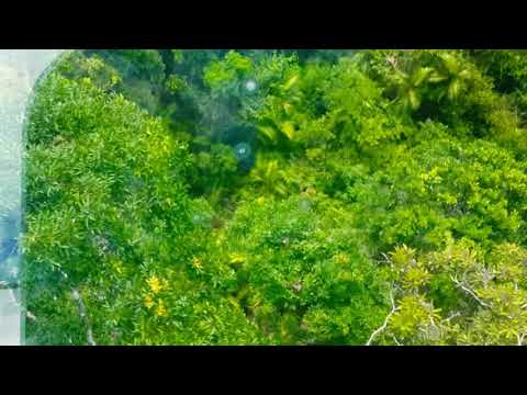 Supriyo took Cable Car Ride