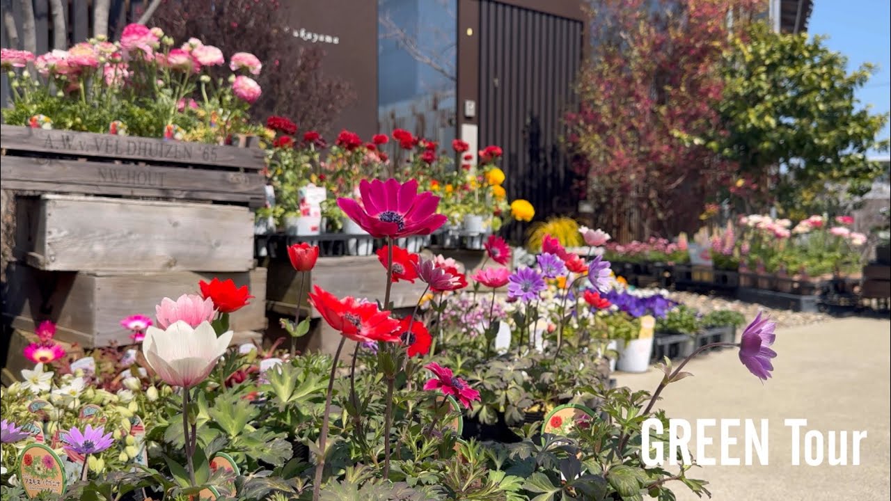 自宅の玄関とお庭がガーデニングショップ！カーメン君も目利きが良いと絶賛のできたてホヤホヤのお洒落で素敵なお店！ | 匠garden | 園芸/ガーデニング店巡り | 和歌山/海南