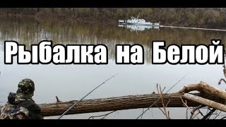 Ссылка