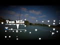 Best Tiktok Ringtone 2020 Tum Mile Imran Haski Tere Siva Mai Jao Kaha Download Link
