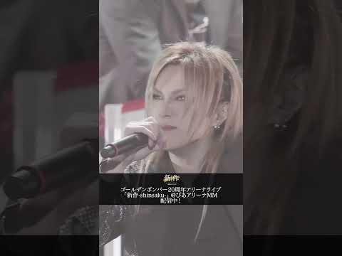 ゴールデンボンバー20周年アリーナライブ「新作-shinsaku-」@ぴあアリーナMM各動画配信サービスにて配信中！#ゴールデンボンバー #金爆