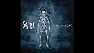 Gojira - Esoteric Surgery (lyrics)