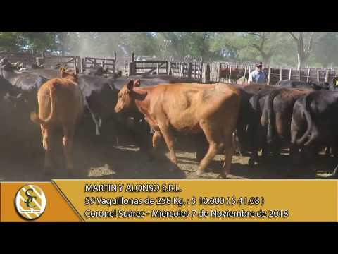 07-11-18 Venta de Hembras - Martin y Alonso S.R.L. - Coronel Suárez
