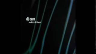 Dj Cam - Twilight Zone [substances].avi
