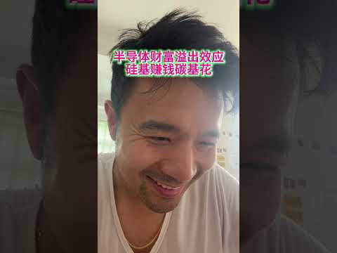 半导体财富溢出效应 硅基赚钱碳基花