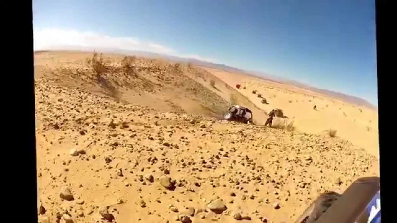 2015 Lost Lizard Fun Run