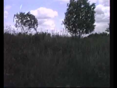 19960614 RB27 Berlin-Karow  - Basdorf Teil 2/2