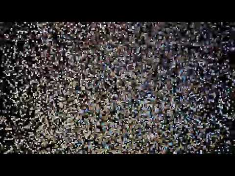 Cookie money / kid shoe collection