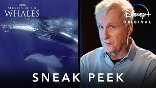 James Cameron Sneak Peek | Secrets of the Whales | Disney+