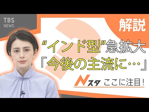コロナウイルス変異株:英国型変異株が米国で急速に拡大