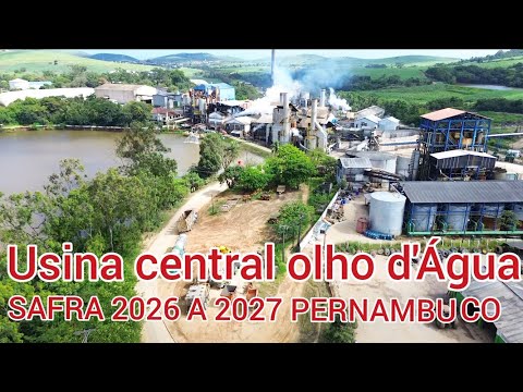 USINA CENTRAL OLHO D'ÁGUA SAFRA 2026 A 2027 CAMUTANGA PERNAMBUCO  BRASIL 
