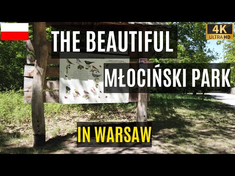 Exploring the Beauty of Młociński Park: A 4K Walking Tour in Warsaw, Poland