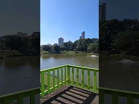 Parque  Central Santo André.  #shorts #natureza #santoandre #abcpaulista