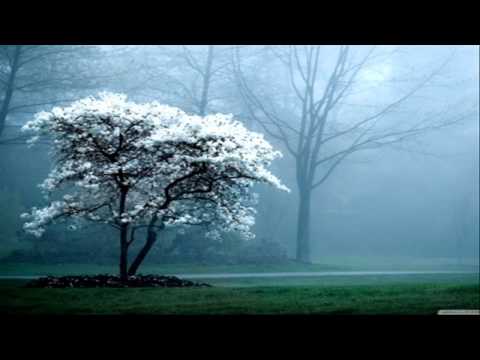 download lagu mp3 mp4 Magnolia Tree Song, download lagu Magnolia Tree Song gratis, unduh video klip Magnolia Tree Song
