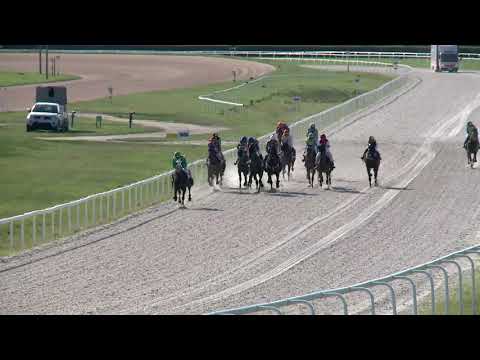 2019.08.11. 07. futam - AMATŐRVERSENY HENDIKEP (V/b.) (szintetikus pálya)