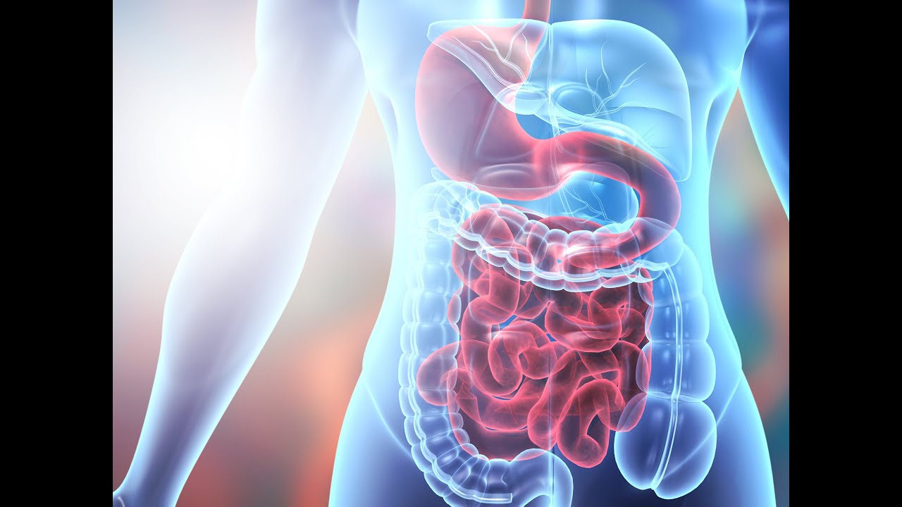 8th Annual Houston Methodist IBD Lectureship 09.23.21