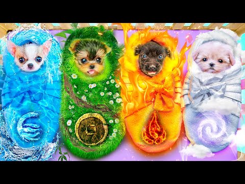 We Adopted 4 Elements` Pets! We Build Secret Rooms for Pets