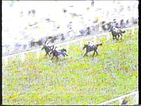 1990 - Ascot -  King George VI & Queen Elizabeth Stakes - Belmez