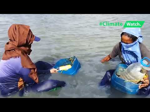 Coastal Livelihoods | වෙරළබඩ ජීවිතය | கடலோர வாழ்க்கை