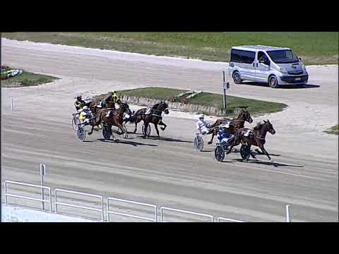 Napoli Trotto 21/04/2023 - 1ª corsa