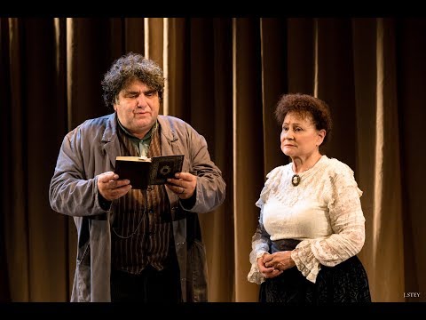 Madame Zola au Petit Montparnasse