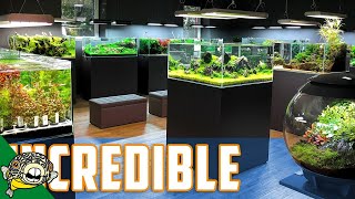 The BEST Aquascaping Store in the WORLD! by Aquarium Co-Op