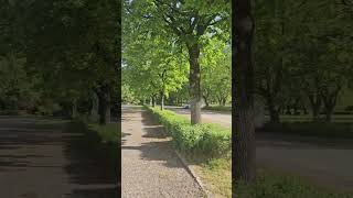 POI — wideo YouTube