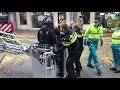Arrestatieteam haalt man uit Rotterdamse boom die kap probeert tegen te houden