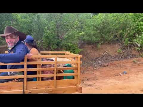 1°Carreata de carro de Boi! Jatobá Ibiassucê-Ba # Sertaõbaianoéshow 