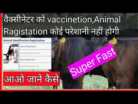 inaph animal registration app download Mp4 3GP Video & Mp3 Download unlimited Videos Download inaph animal registration app download Mp4 3GP Video & Mp3 Download unlimited Videos Download