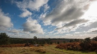 preview picture of video 'A Year in the Life of Ashdown Forest'