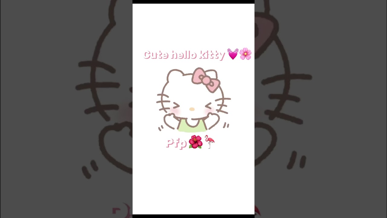 Cute hello kitty pfp 💕💓💖💞💐💐🌺🌷🦩