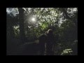 Gem Club - Braid - not the video 