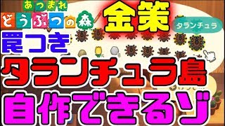 Re: [閒聊] 抓動森的狼蛛有什麼密訣嗎