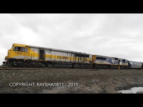 1103-CM3312 - Gheringhap