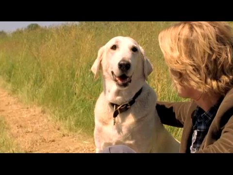 Trailer-Vorschau: Marley & Ich